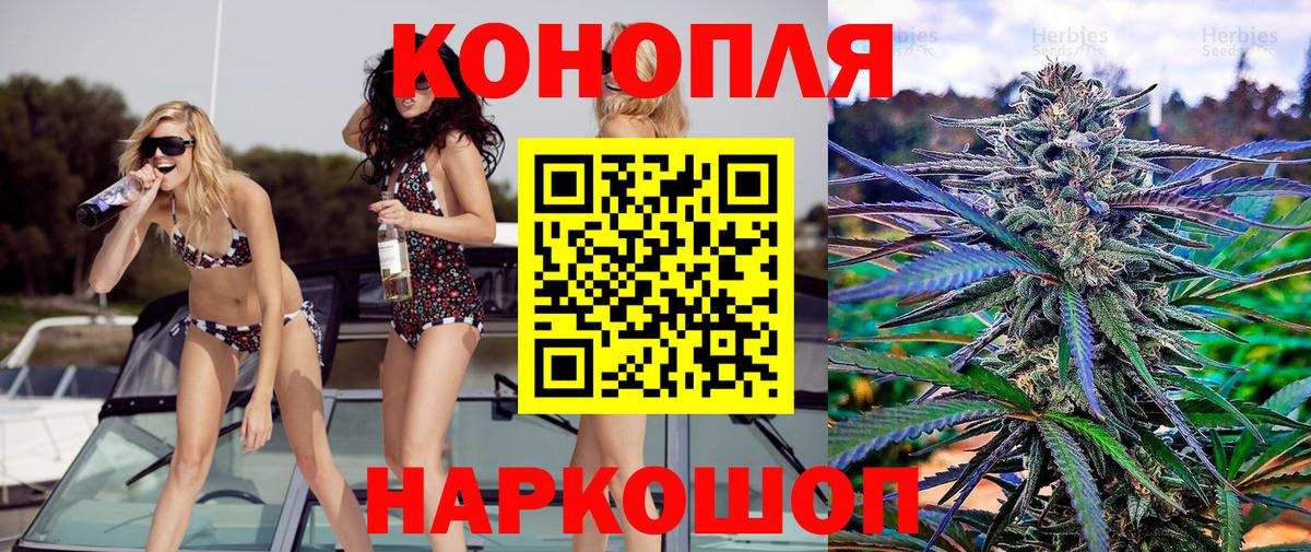 Канабис гибрид  Камышин  Каннабис ГИДРОПОН 